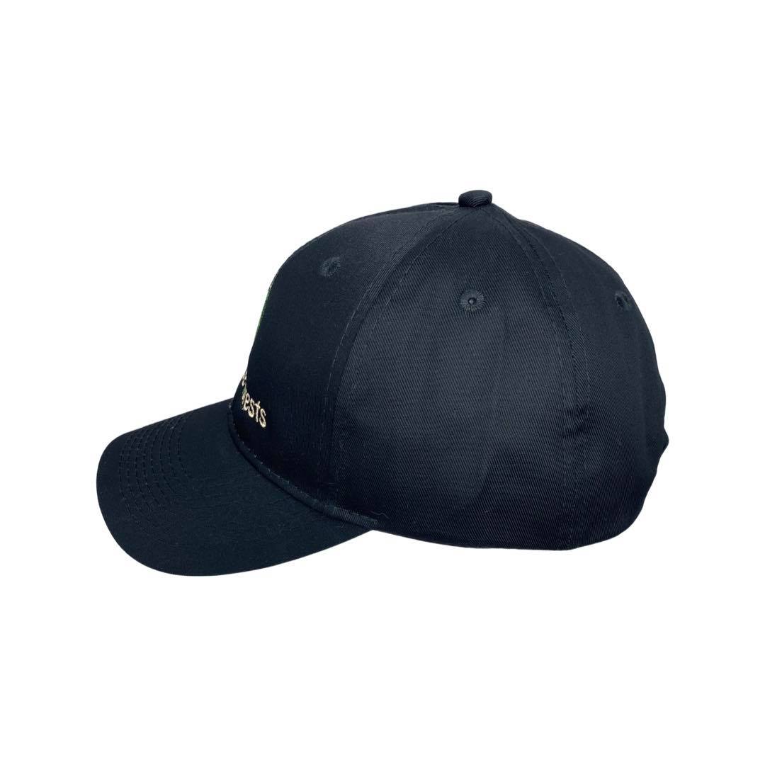 Dude I Love Forests DILF Embroidered Black Dad Hat, One Size Fits All
