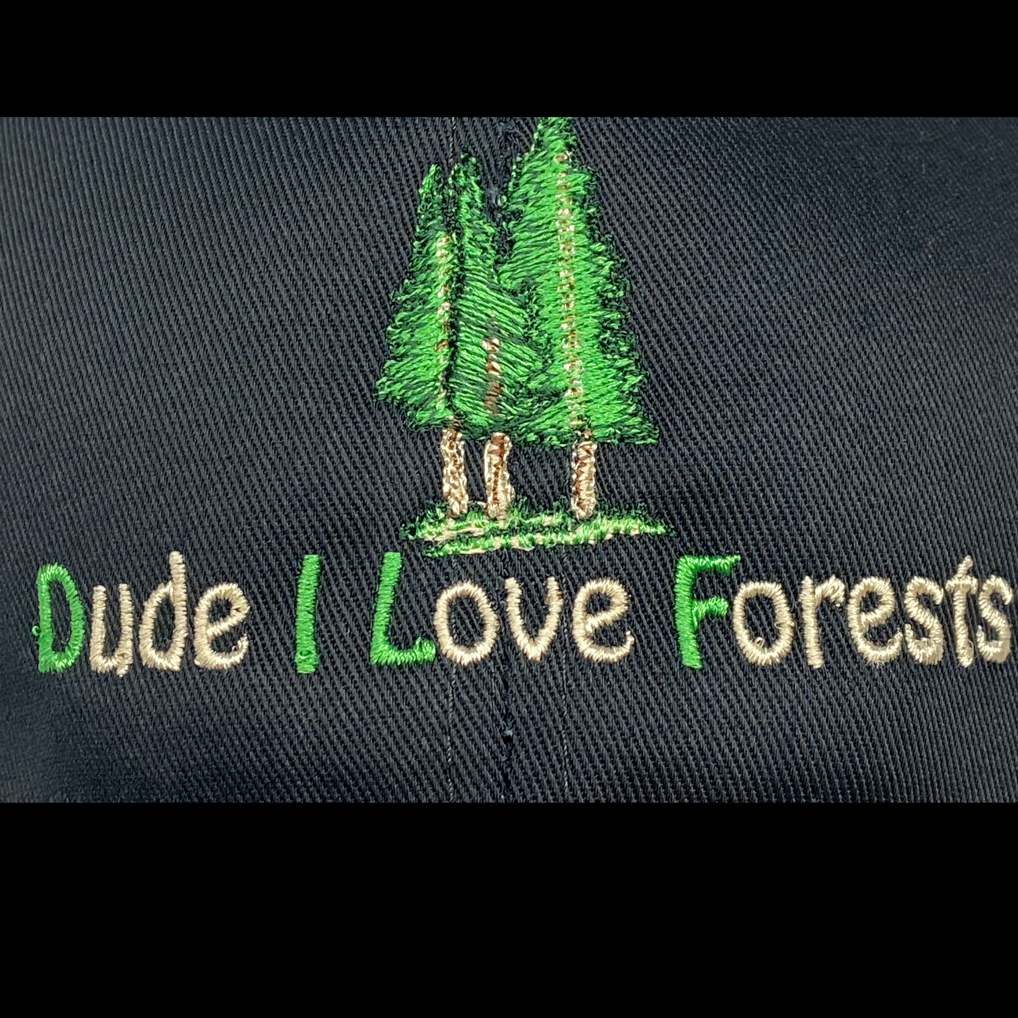 Dude I Love Forests DILF Embroidered Black Dad Hat, One Size Fits All
